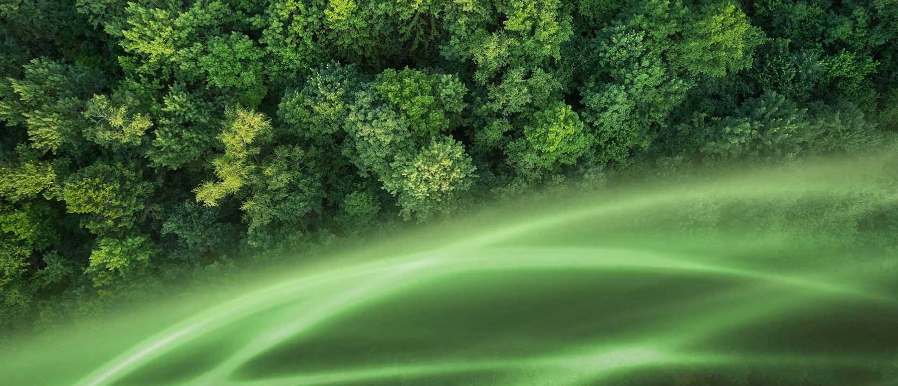 “Aerial view of a lush green forest with vibrant streaks of light across the scene