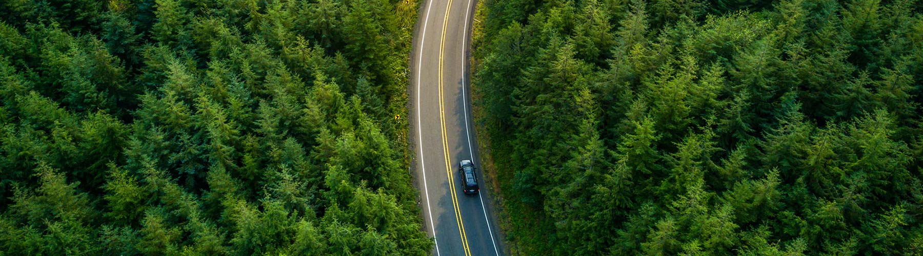 Aerial view of a vehicle driving along a tree lined road