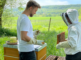 Alessandro Heuberger working with someone on a honeycomb