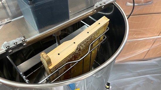 Honeycomb being processed to remove honey