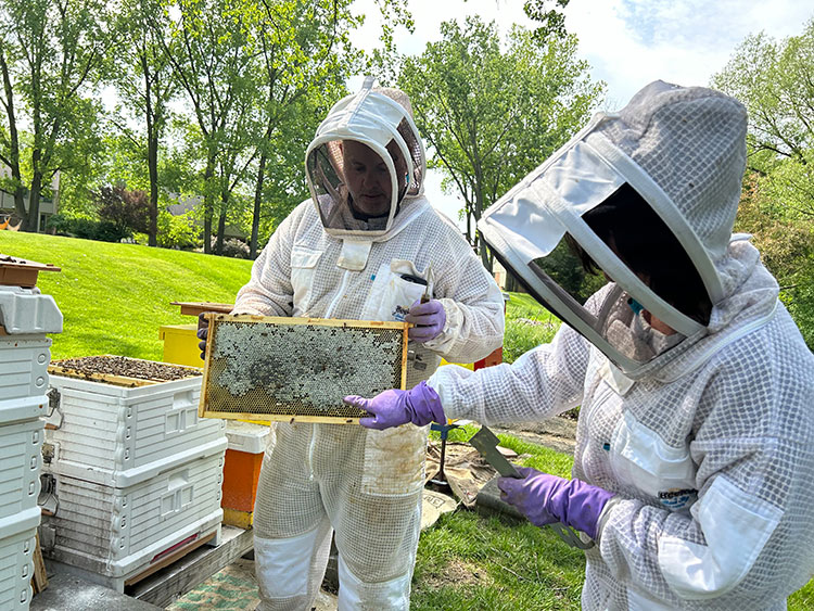 Rhiannon and Brian LaForest tending to their bee hives