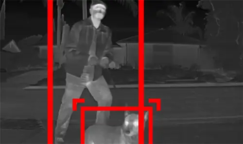 Person walking dog at night being detected by sensor from a car reversing