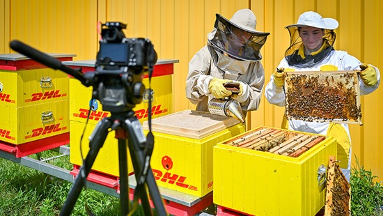 Silvia Viazankova and another person examining honeycombs