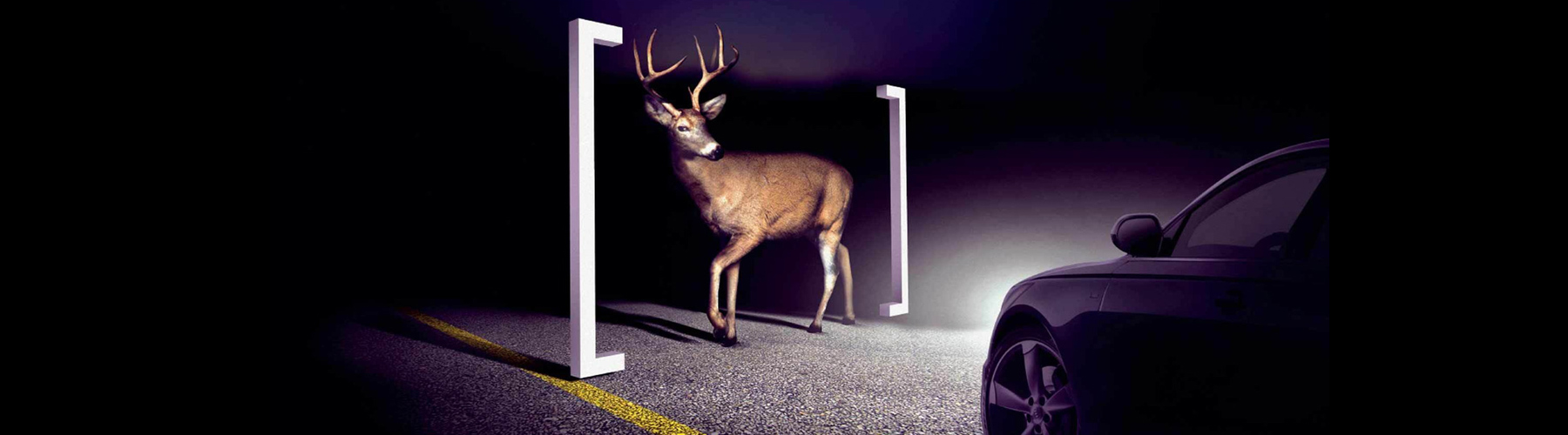 Vehicle driving at night with a deer being detected through the thermal sensing system